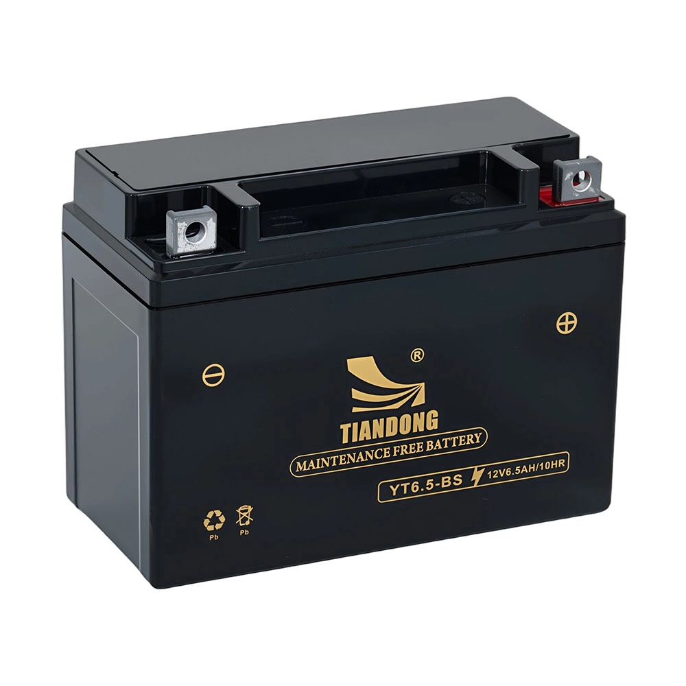 YT6.5-BS-2-new - TIANDONG