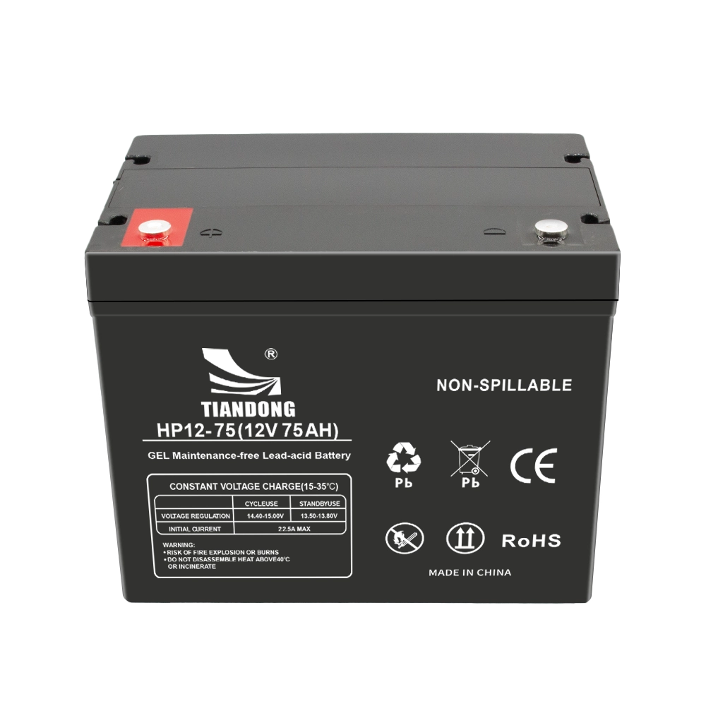 12V75AH正 - TIANDONG